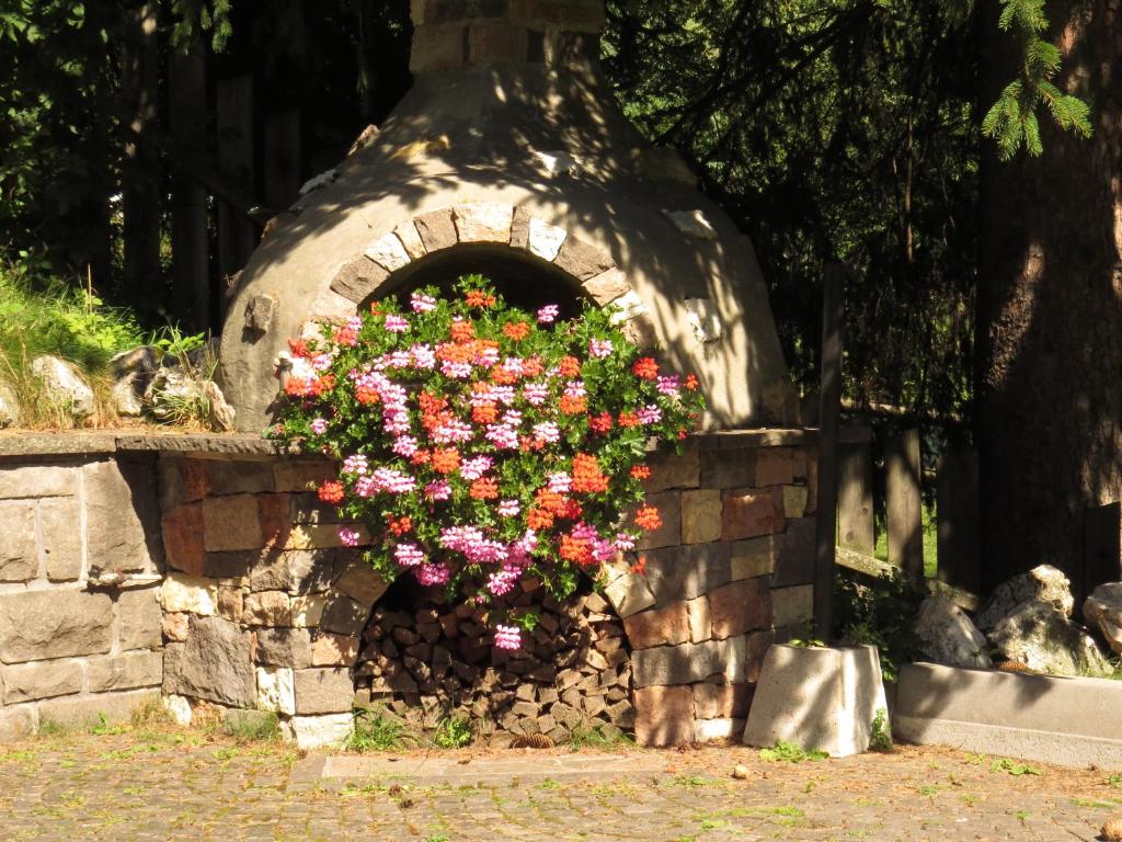 Zahrada ubytování Hotel Cima Dodici