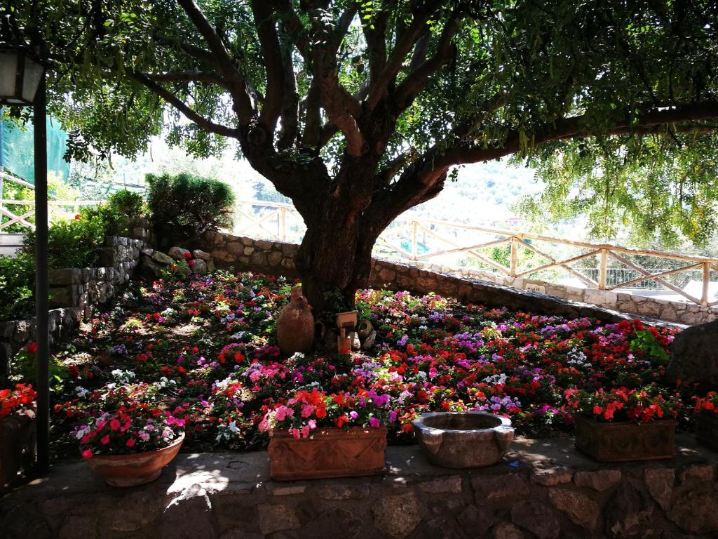 Agriturismo Nonno Luigino - 16