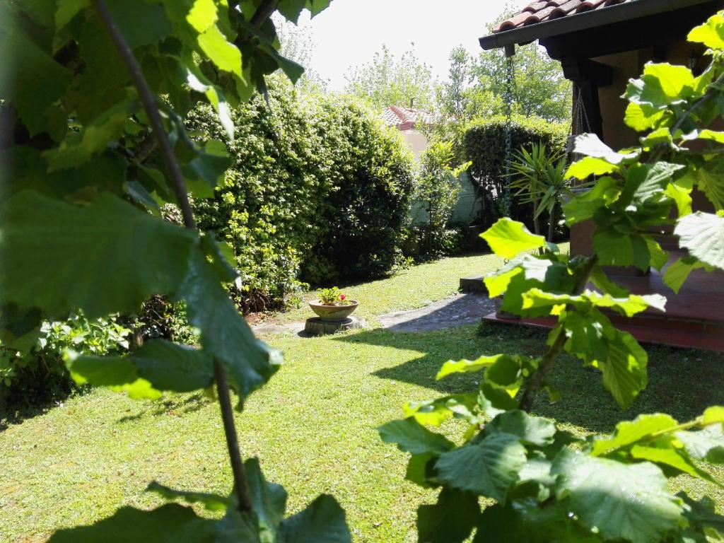 Zdjęcie z galerii obiektu Il Gelsomino w mieście Forte dei Marmi