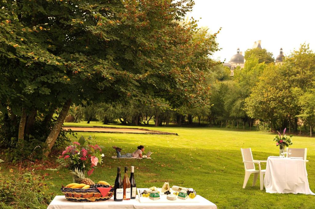 a picnic table in a park with a person laying in the grass at Logis Hôtel Le Relais du Moulin in Valençay