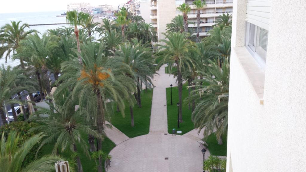Fotografia z galérie ubytovania Palmeral de Torrevieja v destinácii Torrevieja