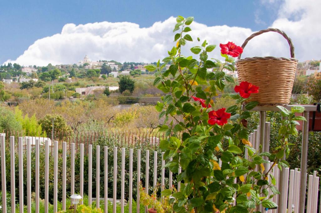 Casa Mastronardi - 13