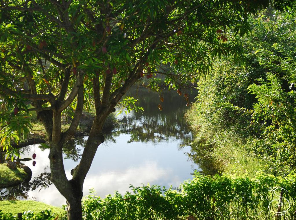 Paesaggio naturale nelle vicinanze dell'hotel