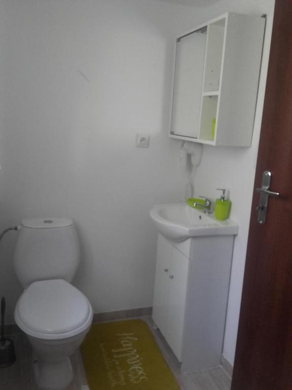 a bathroom with a white toilet and a sink at Agroturystyka Tylmanowa in Tylmanowa