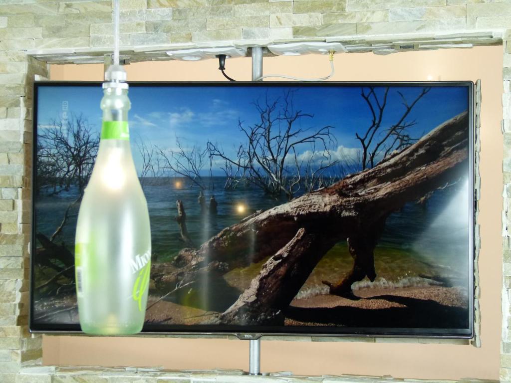 Příroda nedaleko apartmánu