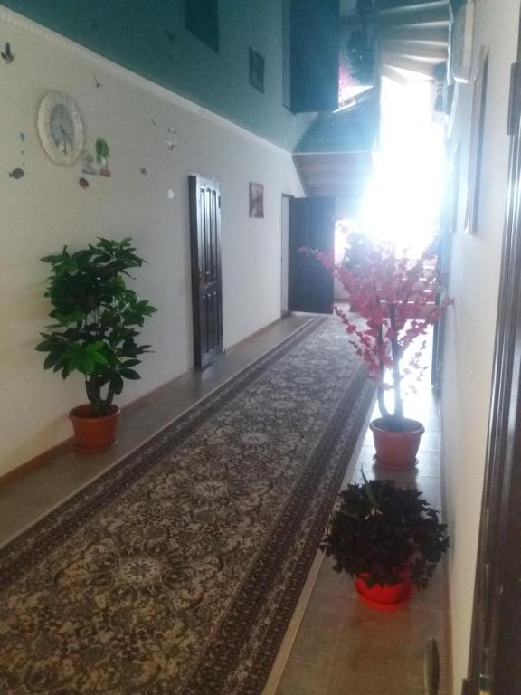 Fotografie z fotogalerie ubytování Guest House Arbat v destinaci Cholpon-Ata