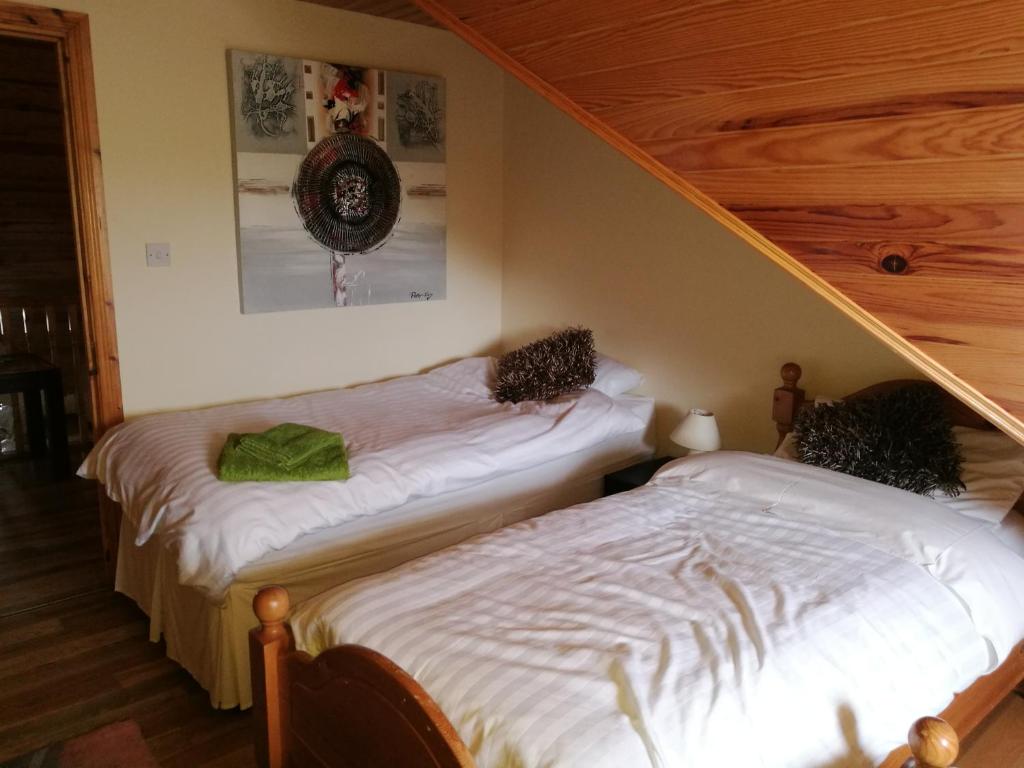 Postel nebo postele na pokoji v ubytování Assaroe House