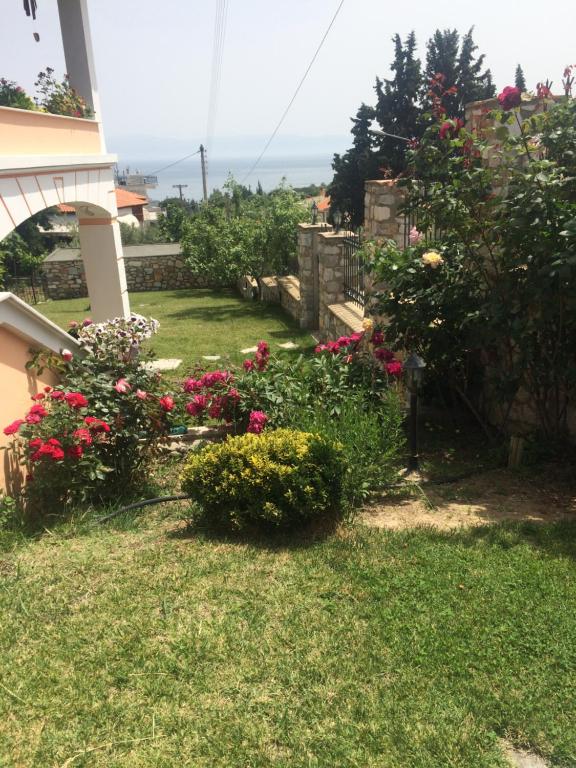 un jardín con flores en el patio de una casa en Loukas House, en Palaión Tsiflíkion