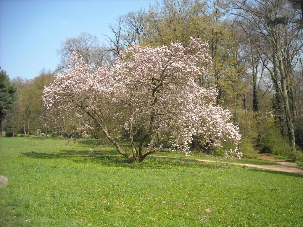 Hotel Schloss Eckberg - Resim 36