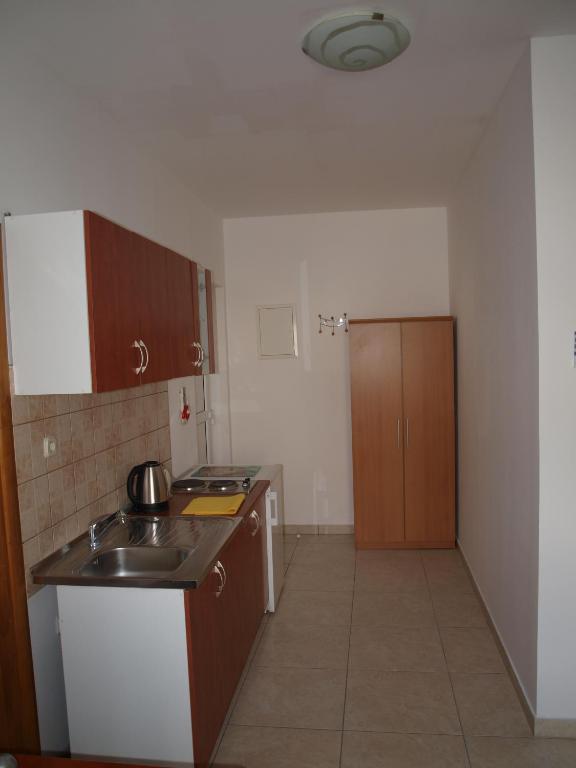 Kuchyň nebo kuchyňský kout v ubytování Apartment Buki