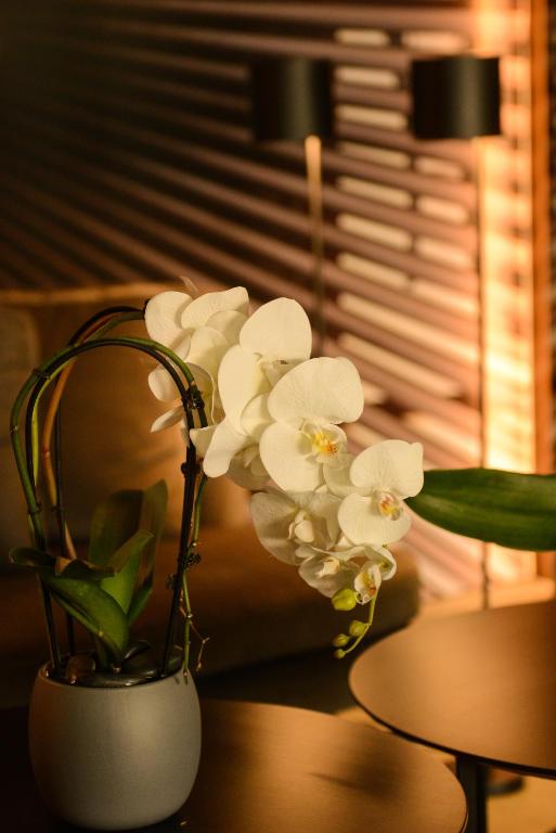 Fotografie z fotogalerie ubytování Santona Residence v destinaci Bejrút