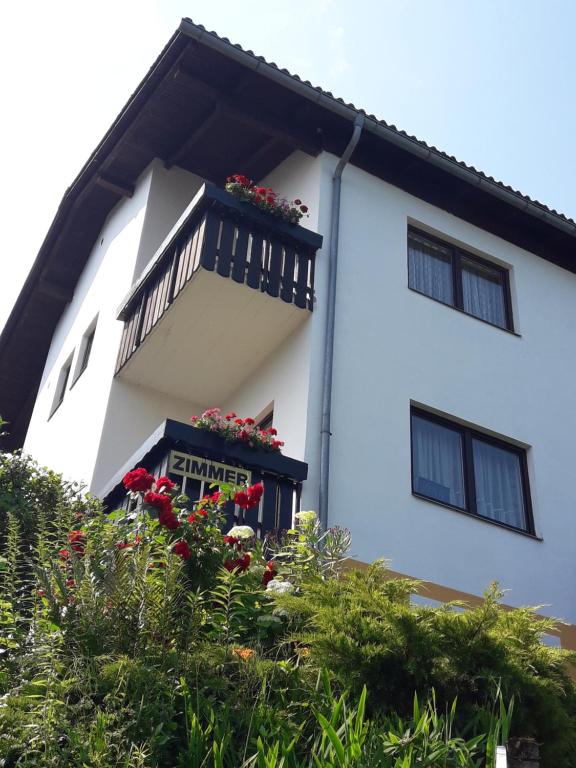 The building in which a panziókat is located