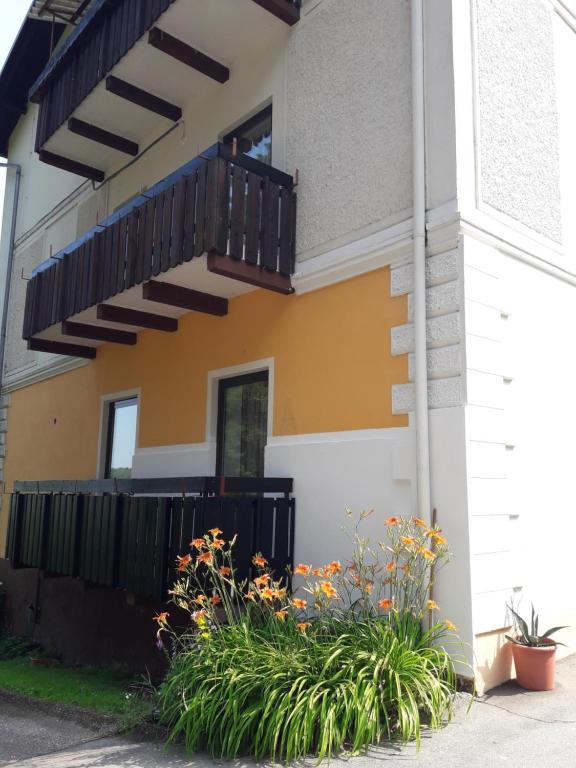 The building in which a panziókat is located