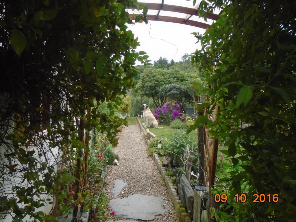 um jardim com um cão sentado num caminho em La Mare aux Fées em Huelgoat