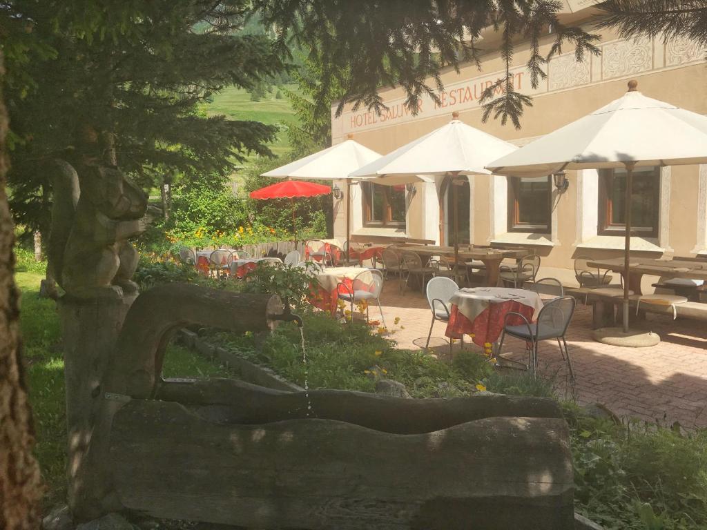 Zahrada ubytování Hotel Saluver