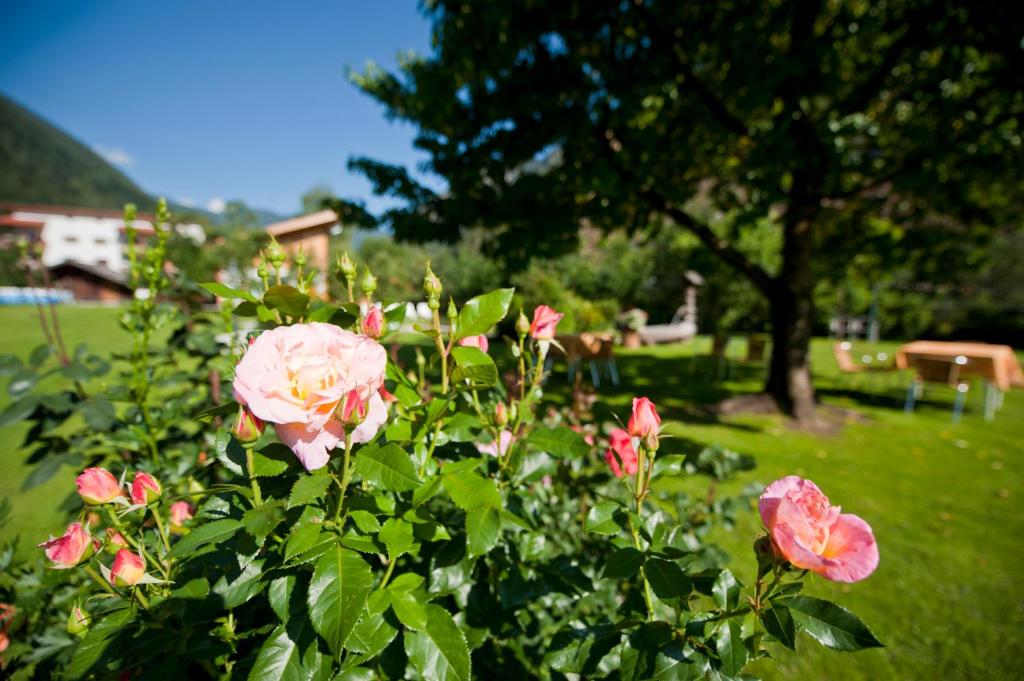 Giardino di Zur Brücke apartments and rooms - Your home in heart of South Tyrol, with Brixencard