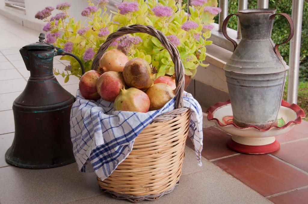 Casa Mastronardi - 16