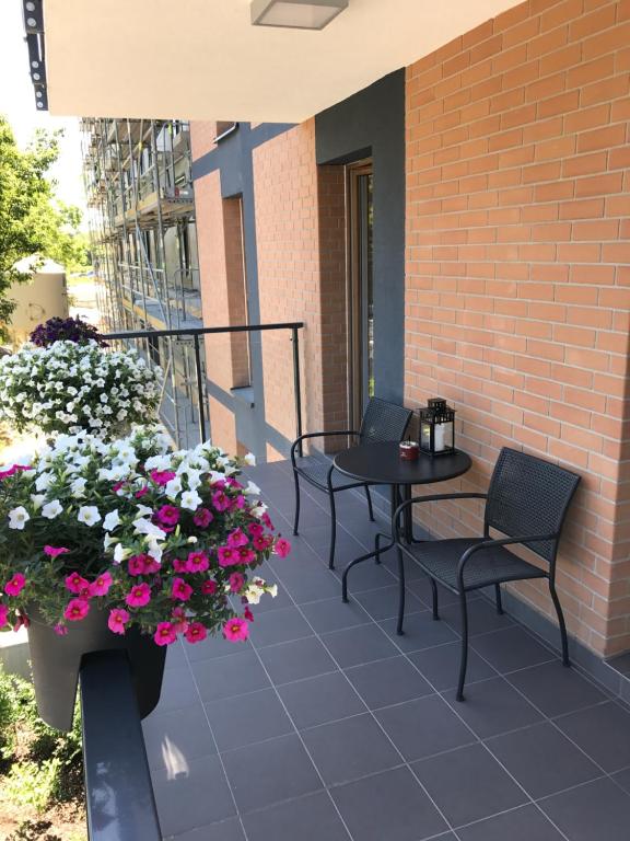 Millennium Manufaktura Green - 18