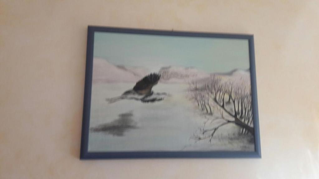 Fotografie z fotogalerie ubytování Affittacamere L'Airone v destinaci Villetta Barrea