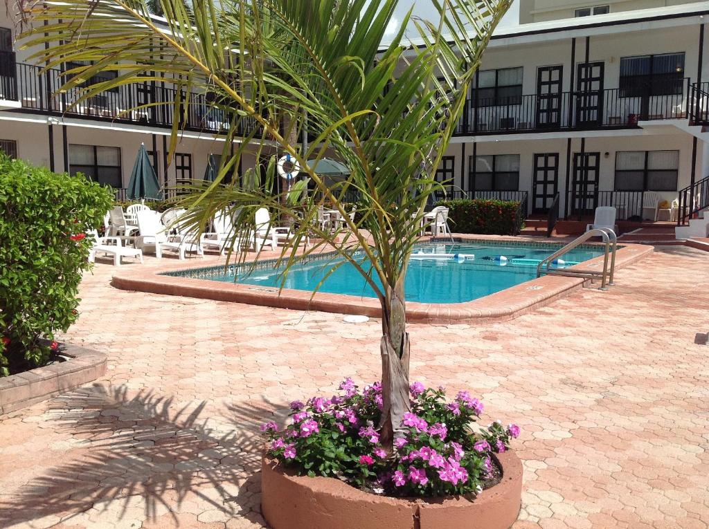 Bazén v ubytování Napoli Belmar Resort nebo v jeho okolí