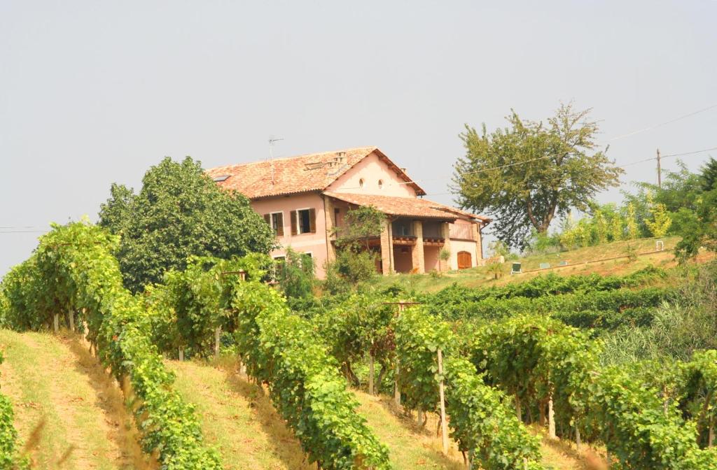 Zahrada ubytování Casa Isabella