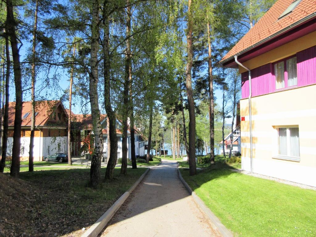 Okolica w pobliżu tego apartamentu