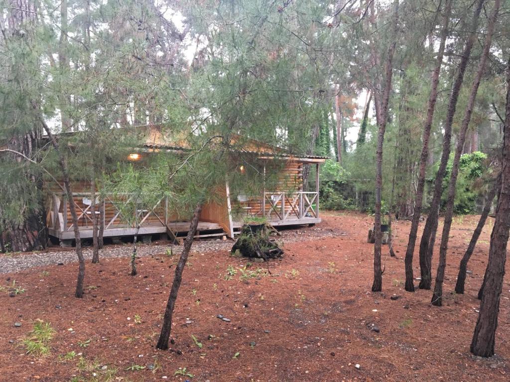 uma cabana no meio de uma floresta com árvores em Cottages on Gosdacha em Lidzava