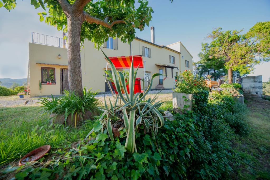 Galeriebild der Unterkunft Agriturismo Greppo All'olivo in Donoratico