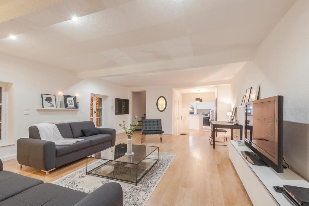 un salon avec un canapé et une télévision dans l'établissement Cité Chic, à Carcassonne