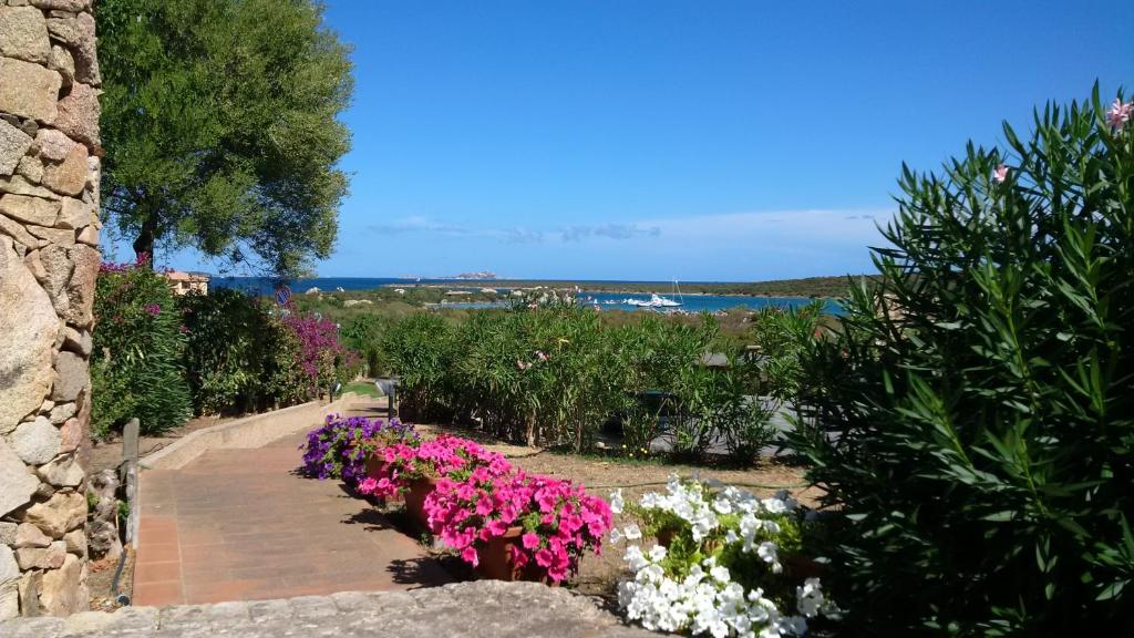 a garden with pink flowers on a sidewalk at Guest House Vela Blu in Santa Marinella