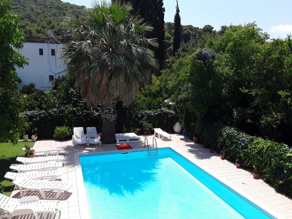 a swimming pool with chairs and a palm tree at Kaikas Studios & Apartments in Poros