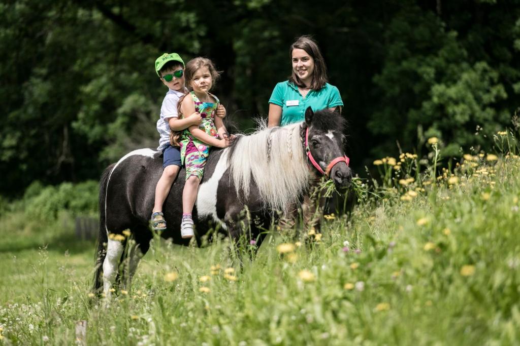 Zvieratá v hoteli alebo blízkom okolí