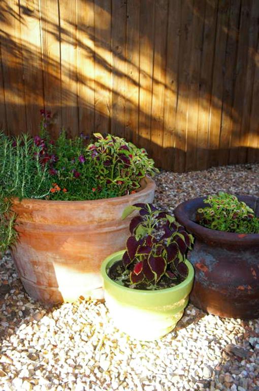 Ein Garten an der Unterkunft Tiny House