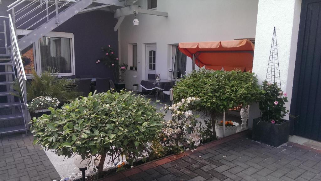 a garden with flowers and plants in front of a house at Ferienhaus Resit 1 in Steinhude