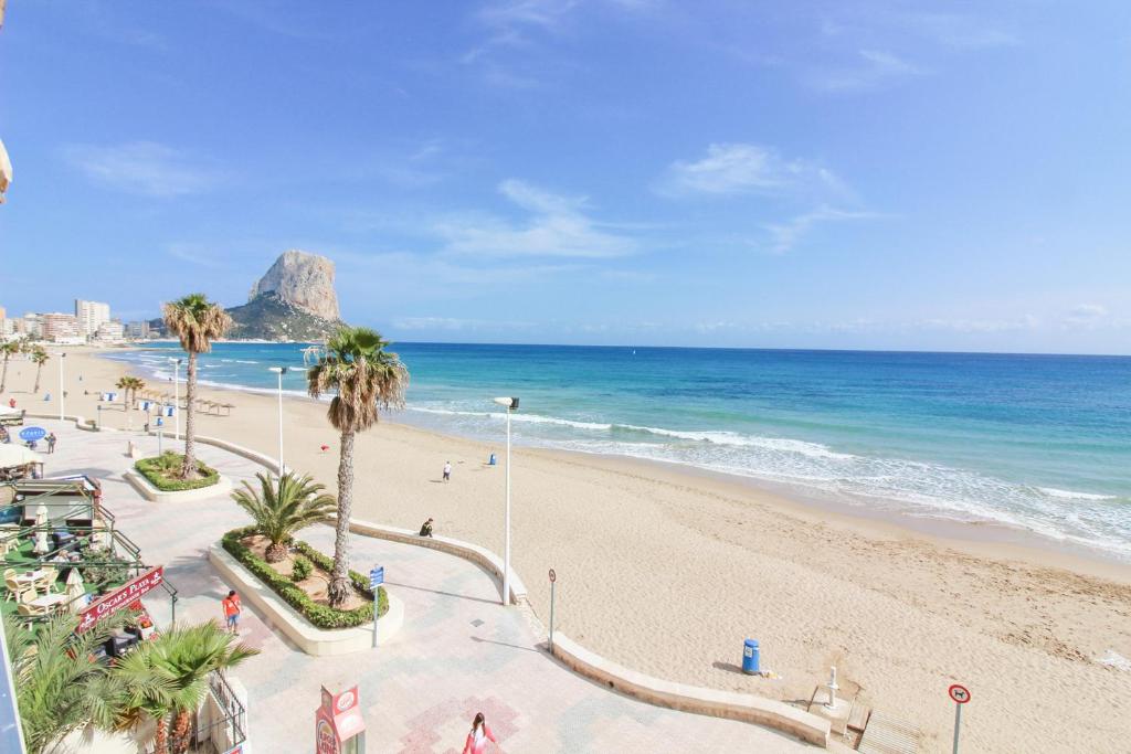 a beach with palm trees and the ocean at Wohnung Rio in Calpe