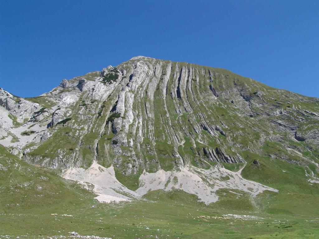 Příroda nedaleko motelu