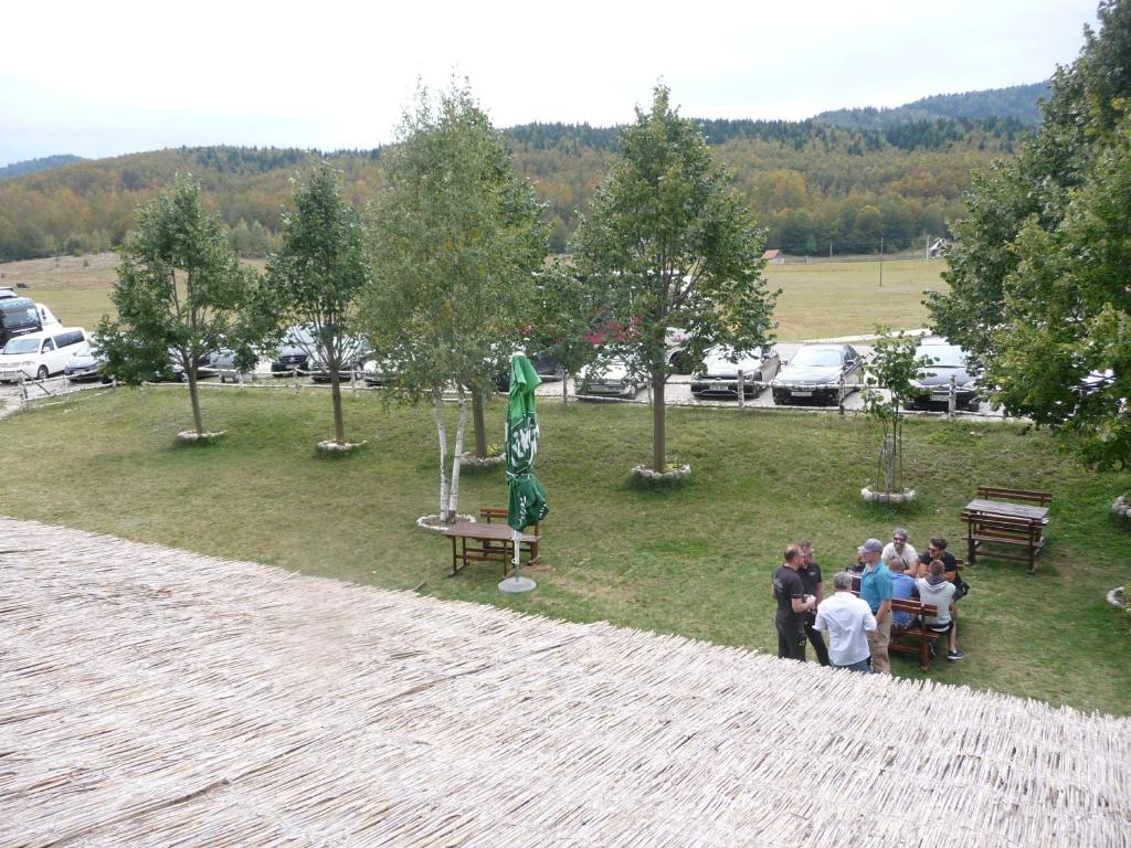 Příroda nedaleko motelu