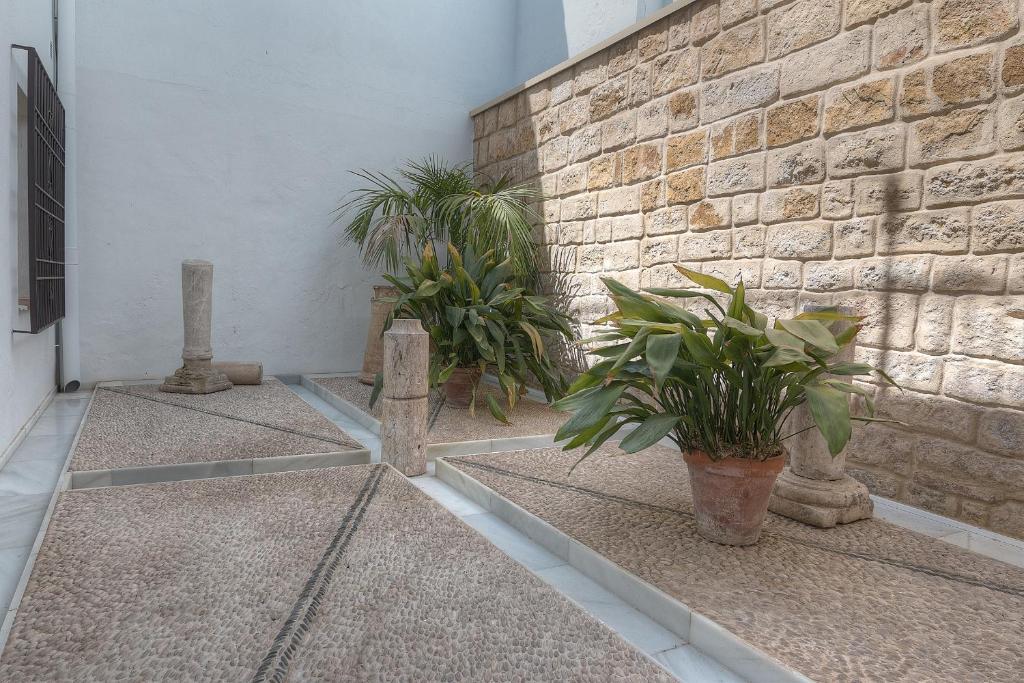 Fotografie z fotogalerie ubytování Los Patios v destinaci Córdoba
