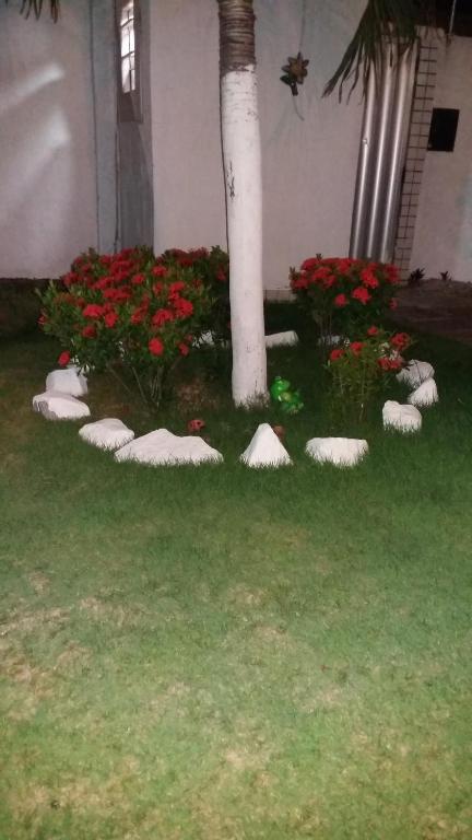  Apartamento Bonavides