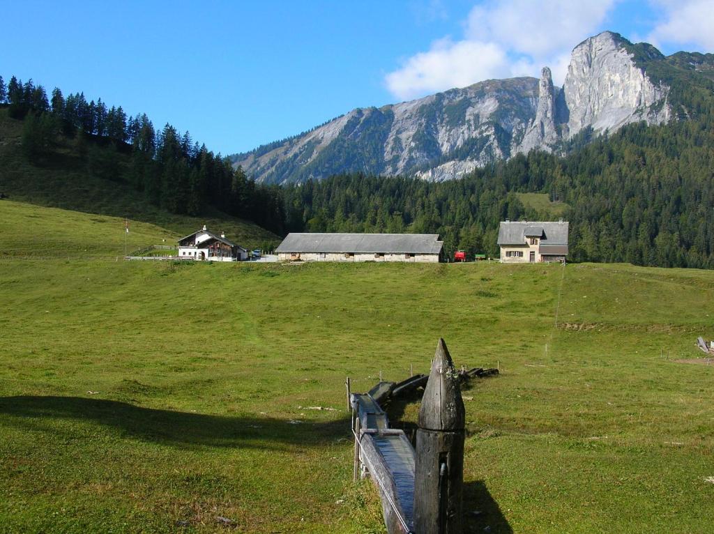 Příroda nedaleko hotelu