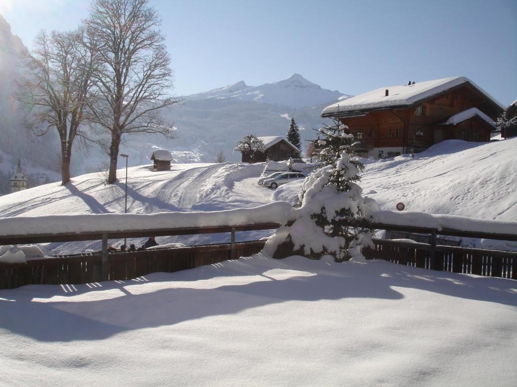 Hotel Alpenblick v zimě