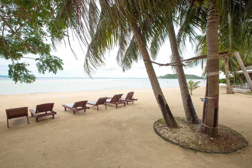 a row of chairs on a beach with palm trees at Da Kanda Villa Beach Resort in Thong Sala
