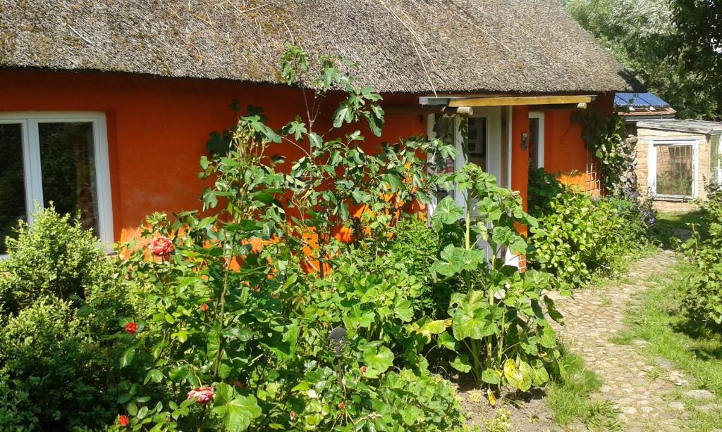 Ein rotes Haus mit einem Haufen Blumen davor. in der Unterkunft Hofboddenblick in Kückenshagen