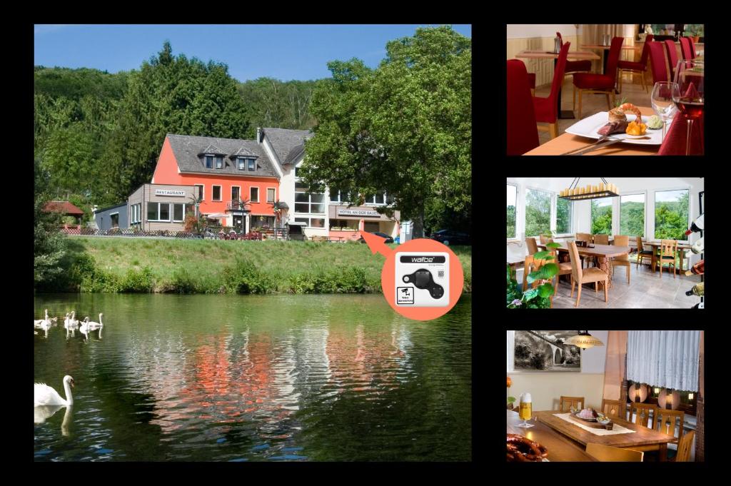 Příroda nedaleko hotelu