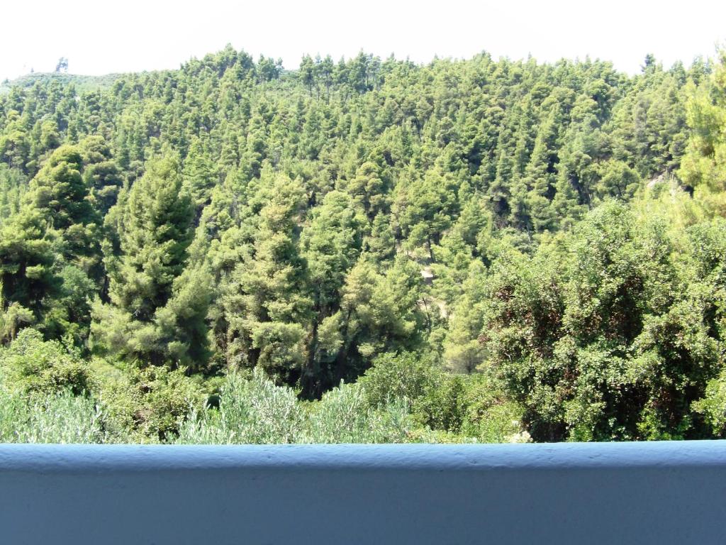 Príroda v okolí apartmánu