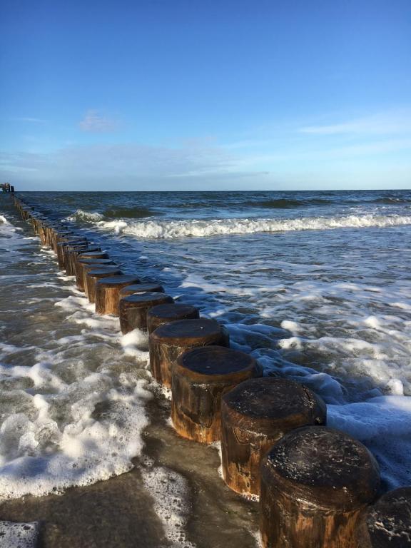 a row of wooden posts in the ocean at Ferienwohnung Thiemig in Neuhaus