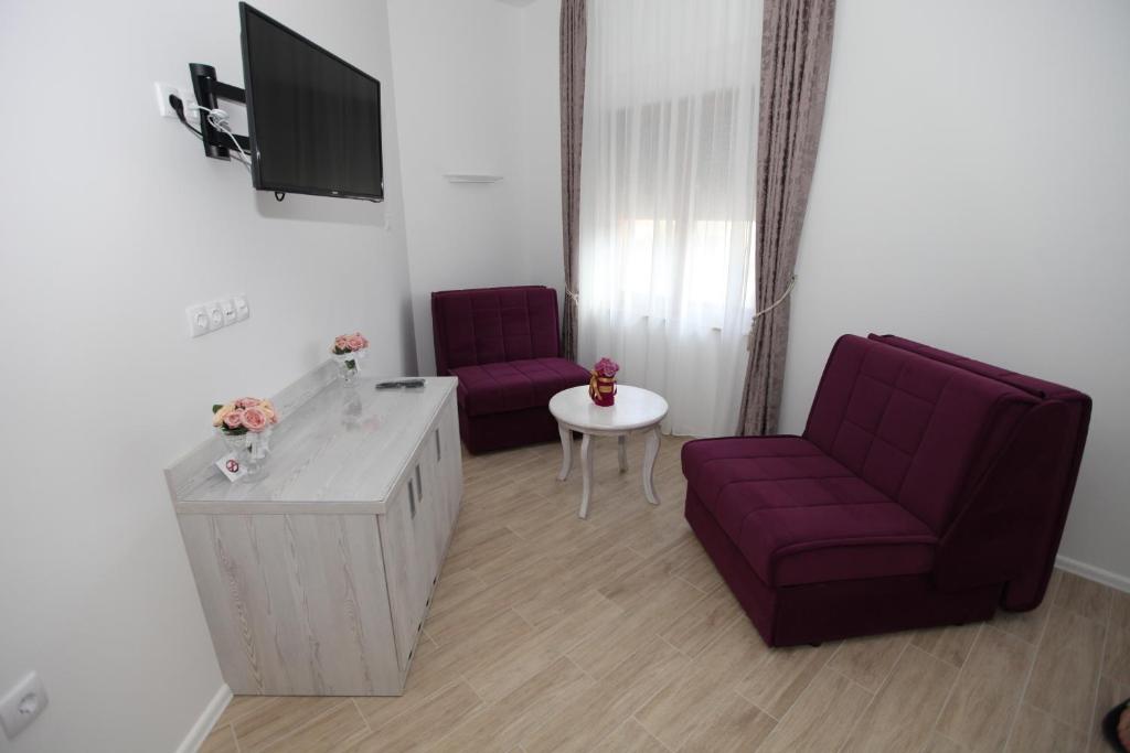 TV a/nebo společenská místnost v ubytování Apis Hotel