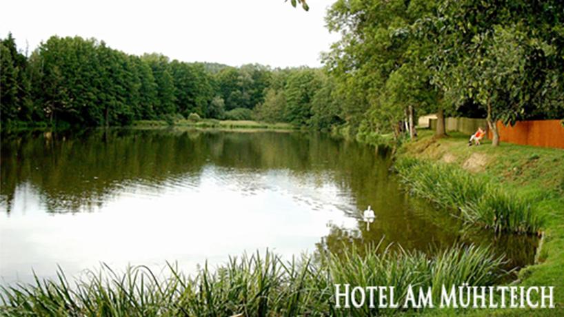 Příroda nedaleko hotelu