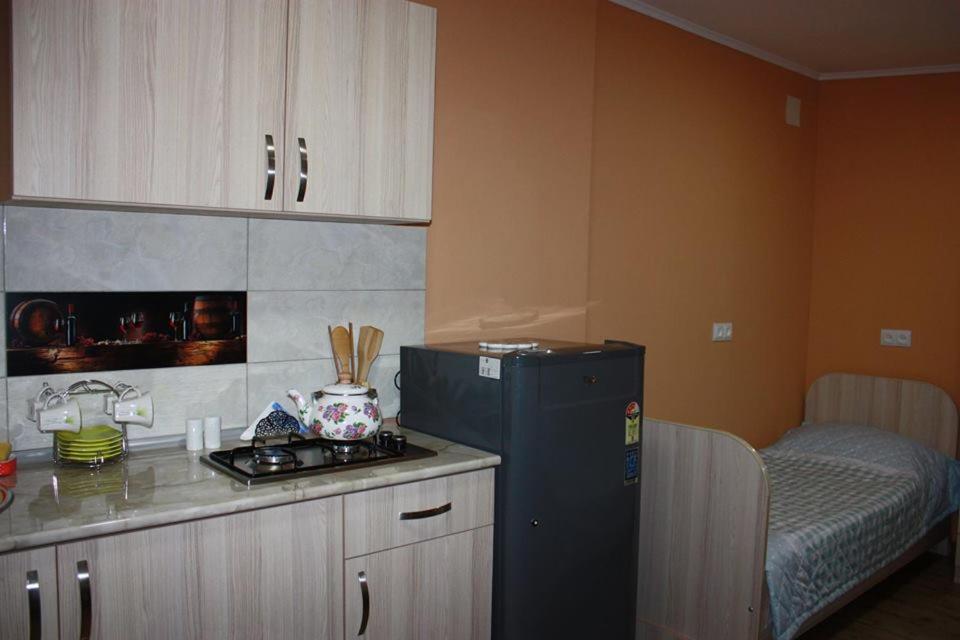 Kuchyň nebo kuchyňský kout v ubytování Guesthouse on Benashvili