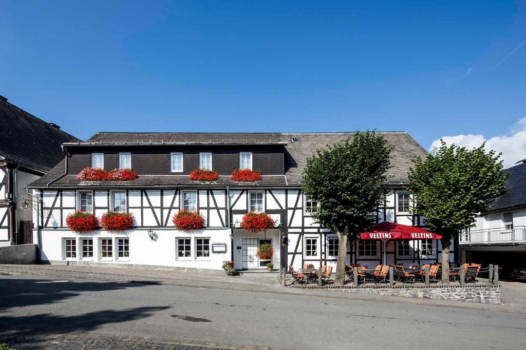 Nespecifikovaný výhled na hory nebo výhled na hory při pohledu z hotelu
